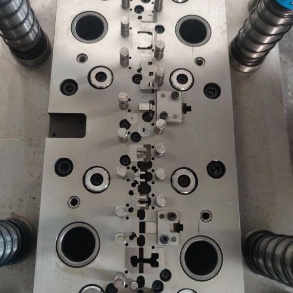 Mold - Image 4